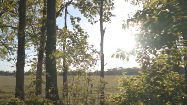 VOCALISE FOR VIOLIN & ORCHESTRA - ВОКАЛИЗ ДЛЯ СКРИПКИ С ОРКЕСТРОМ