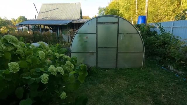 Дачу купил #1 . Первые шаги, биотуалет, капельный автополив, Казан. Жарим шурпу. смотреть онлайн