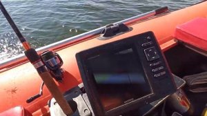 Мотор 9.8, лодка Reef 325,скорость 26 км/ч. Максималка 30км/ч