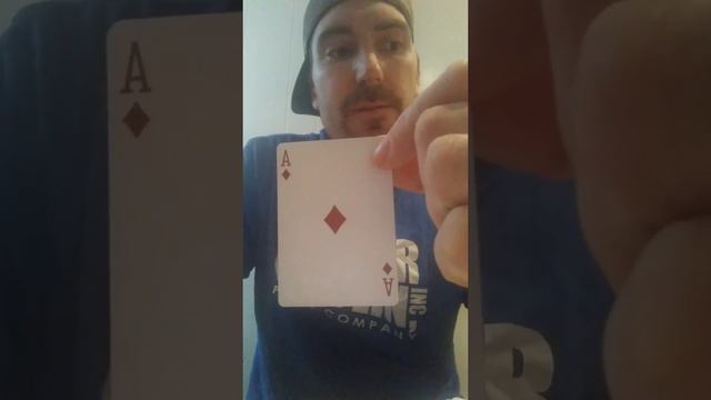 Bicycle Guardians Deck Review - Theory11