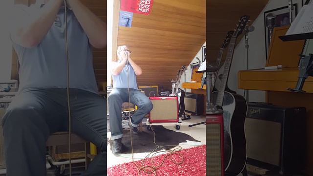 Blues Junior " candy apple red " Harmonica Amp смотреть онлайн