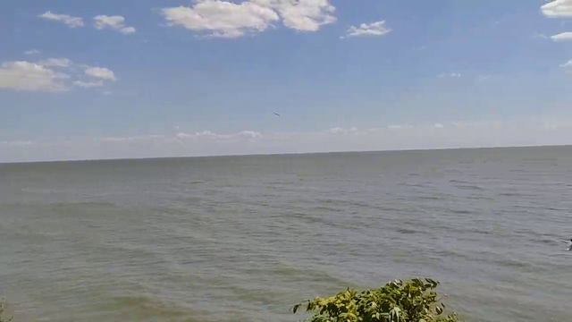 Центральный пляж. Таганрог. 29 июля 2023 смотреть онлайн