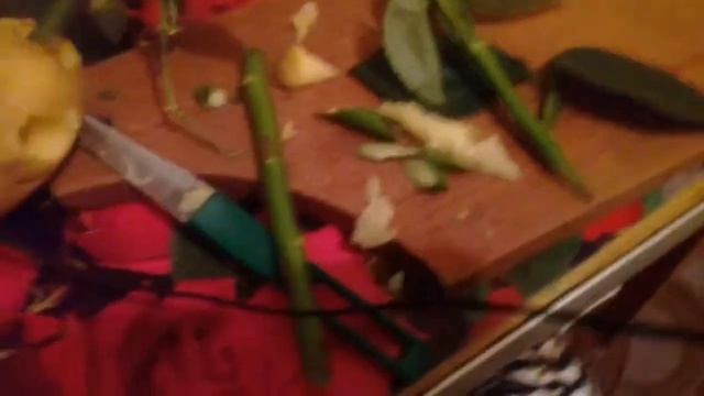 Моя 1 проба.посадка розы черенками в картофель. смотреть онлайн
