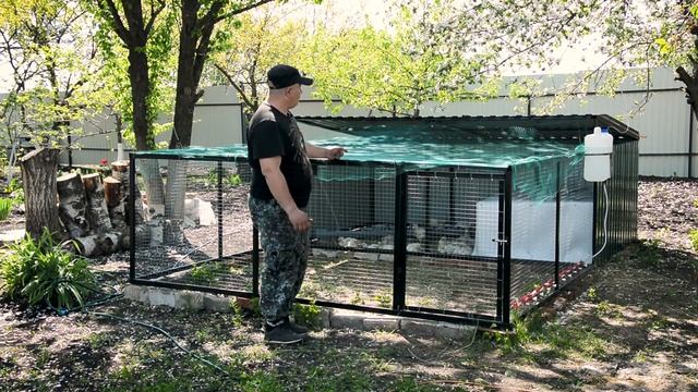 Выращивание БРОЙЛЕРОВ, вольер, поилки, кормушка 23 дня смотреть онлайн