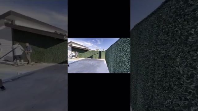 Обзор Калифорнийская изгородь (зеленый забор)