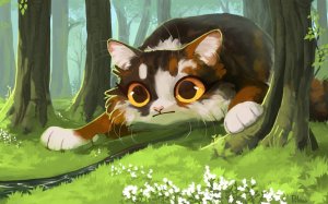 обследование территорий в  игре : Warrior Cats: Ultimate Edition (читай описание)