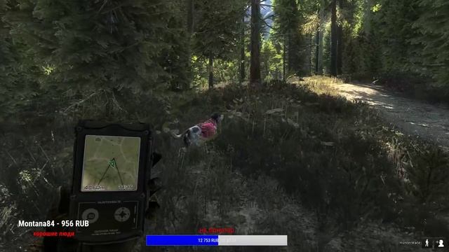 theHunter: Classic - Свободная охота, миссии на вапити, очки охотника смотреть онлайн