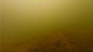 Оснастка на Окуня по первому льду  Блесна с бегающим тройником