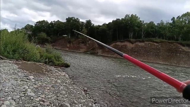 Камчатка! река Авача! кижуч на блесну!