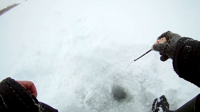 Анонс рыбалки от 18.01.2018 Безмотылка р.Томь смотреть онлайн