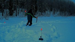 Вот это я удачно попал на ЖОР!!! Щука на жерлицу! Наживка, которая нравится щуке.