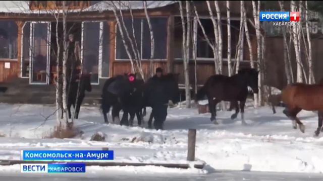 Экологическая ферма в Комсомольском районе смотреть онлайн