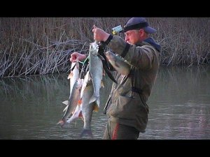РЫБАЛКА С НОЧЁВКОЙ, ВЕСЕННИЙ ЖОР. Ночь на острове в дельте Волги. Реванш по жереху.