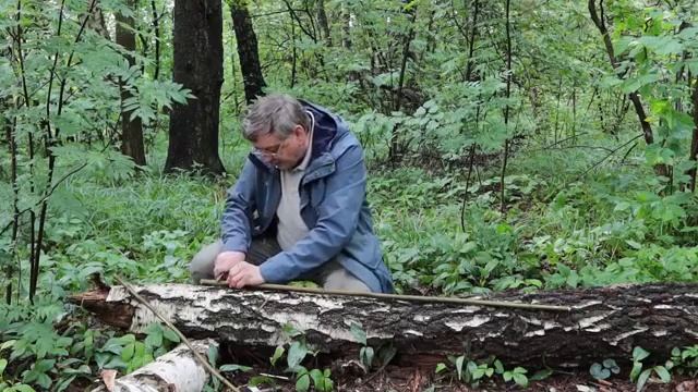 Мастер-класс «Самодельный лук и стрелы» смотреть онлайн