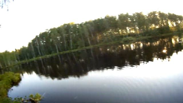 Ловля живца-Как ловить живца-Живец на щуку-Живец на хищника-Живец на налима-Ловля на подъемник