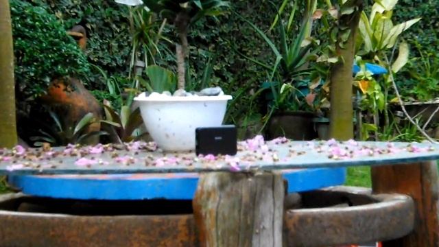 Review and using a digicam from 2012 in 2023. (Sony cybershot DSC-T99) смотреть онлайн