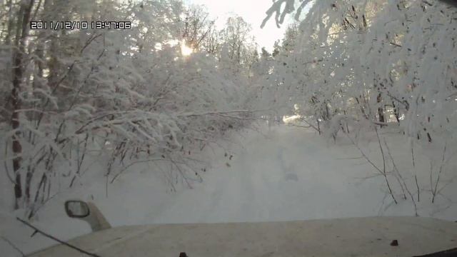 По зимнему лесу смотреть онлайн