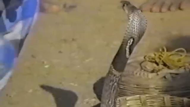 Возвращение к свободе / Return to liberty смотреть онлайн