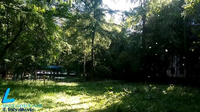 Тополиная зима в Москве в июне смотреть онлайн