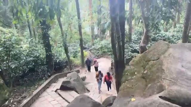 A Road Trip - Bangalore to Wayanad | Episode 1- Edakkal Caves смотреть онлайн