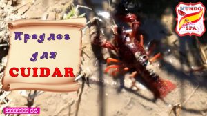 171. Предлог для CUIDAR.