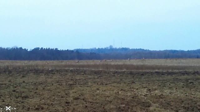 Selfie-Blog: Первый разведочный поход в марте