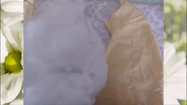Мастер класс ко Дню семьи, любви и верности- "Коты Неразлучники" - клуб х. Средний Челбас. смотреть онлайн