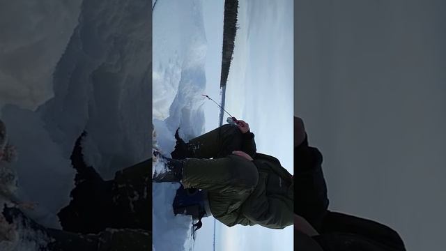 Балансир балтик LJ. Братске водохранилище смотреть онлайн