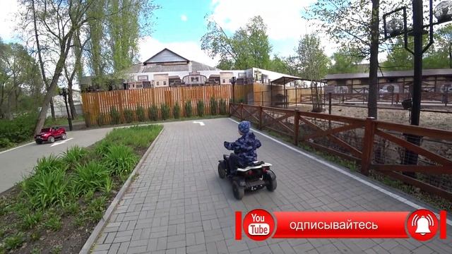 #13.ВОРОНЕЖ. Идём с племянником в Зоопарк ? Куда сходить с детьми в Воронеже на выходных? смотреть онлайн