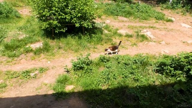 #2 ТАГАНАЙ от Юрмы до Златоуста. Круглица, Откликной гребень и многое другое смотреть онлайн