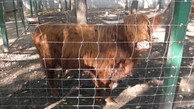 Экопарк фельдмана смотреть онлайн