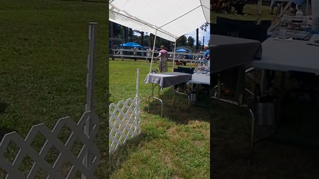 Liberty's Tenacity Glen of Imaal Terrier RBIS смотреть онлайн