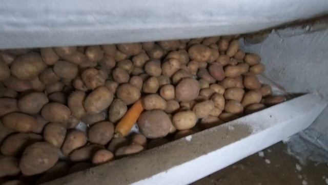 Подвал с овощами смотреть онлайн