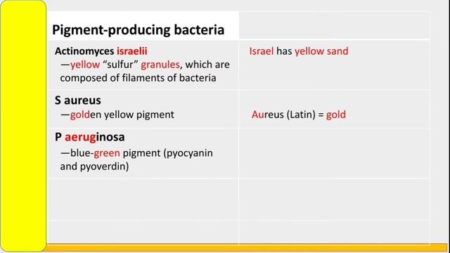 Pigment producing bacteria смотреть онлайн