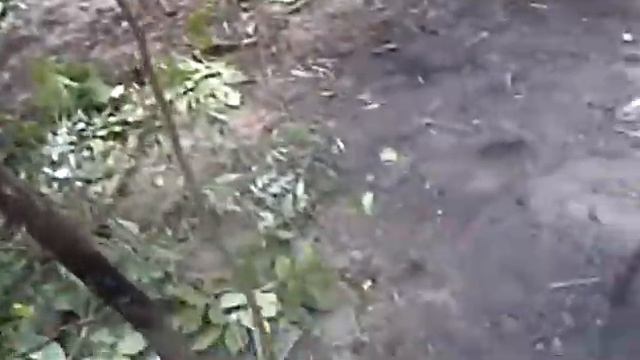 на острове волги.AVI смотреть онлайн