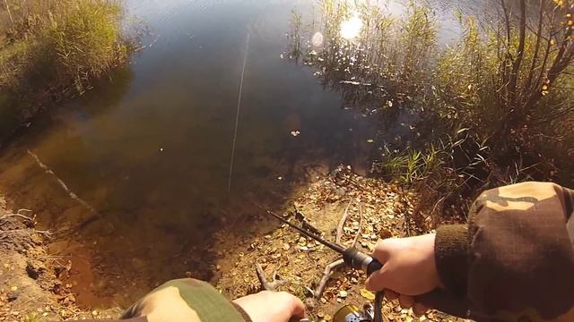 Щуренок на воблер 'YO ZURI' L Minnow 66 смотреть онлайн
