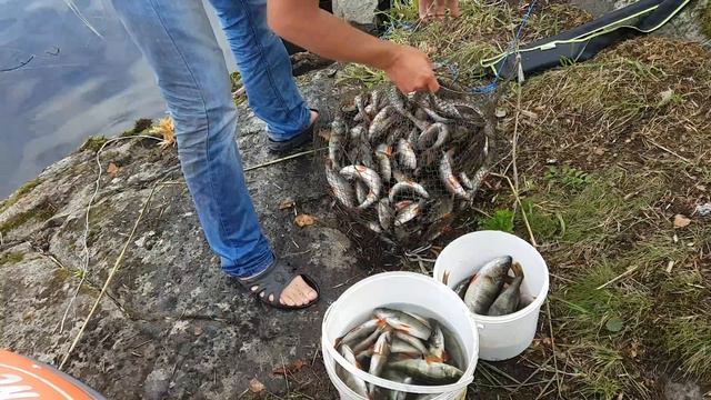 26.08 итог рыбалки на микроджик. смотреть онлайн