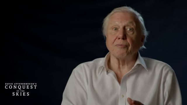 David Attenborough's Conquest of the Skies 3D - A Story of Evolution смотреть онлайн