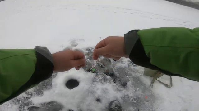 Зимний фидер на реке! смотреть онлайн