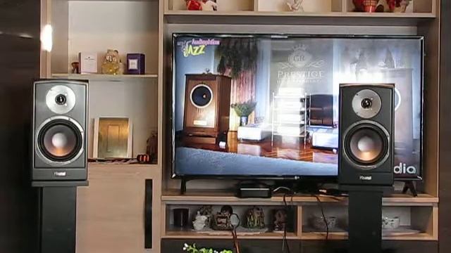 Magnat Vector 203 /1. смотреть онлайн