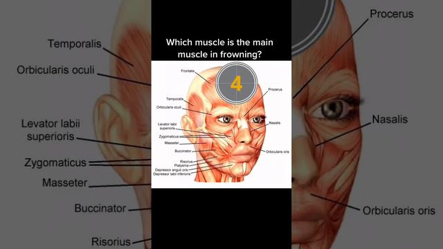 #greenscreen 🥺 #botox #face #dentist #orthodontist #dentalschool #dentalstudent #braces #teethwhite смотреть онлайн