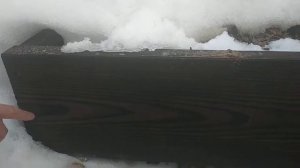 Грядки из обожженного дерева (перезимовали)