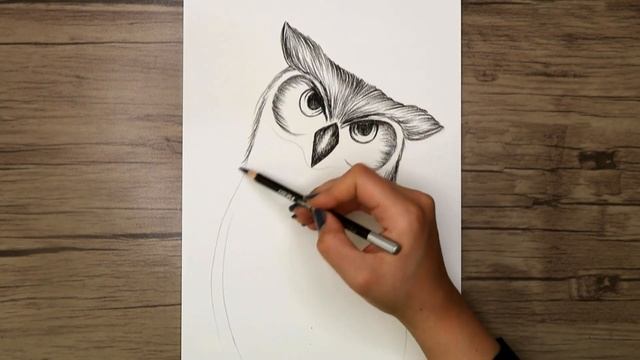 How to Draw an Owl Step by Step With Pencil | Realistic Drawing Tutorial смотреть онлайн