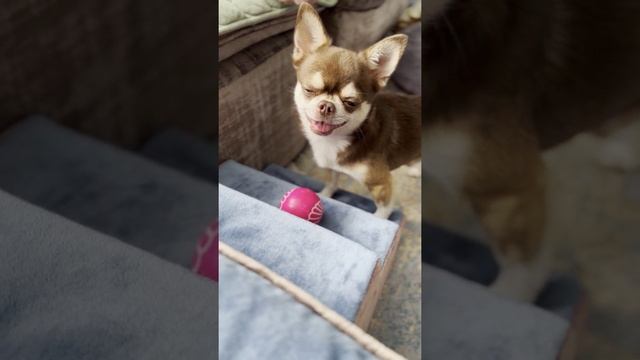 Птица счастья!