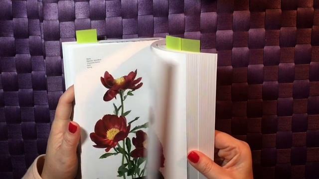 Book Review: Flower Color Guide смотреть онлайн