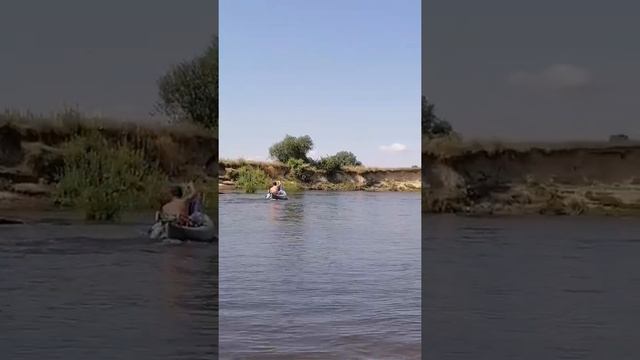 Сплав по р.Ипуть и р.Сож. 14км. 11авг2021г. Уровень воды в р.Сож - 9см. смотреть онлайн