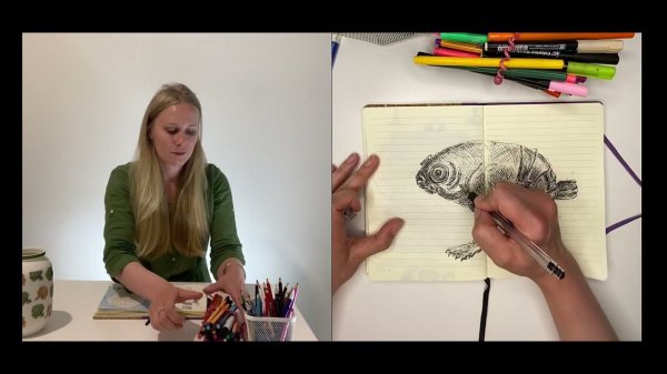 Рисуем мистического зверя. Как нарисовать животное