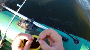 Рыбалка. Ловля леща на кольцо на Волге. ЛЕЩИ АТАКУЮТ!!!