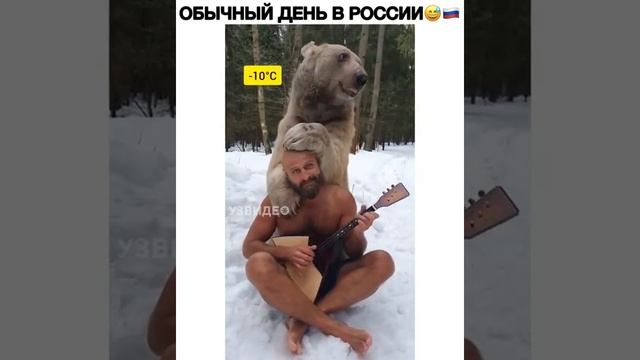 Медведь в  -10 себя чувствует прекрасно под звучание балалайки ??