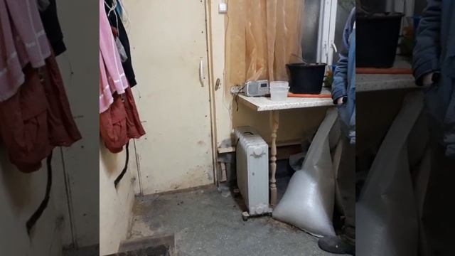 Дульсинея - коза с душой собаки смотреть онлайн